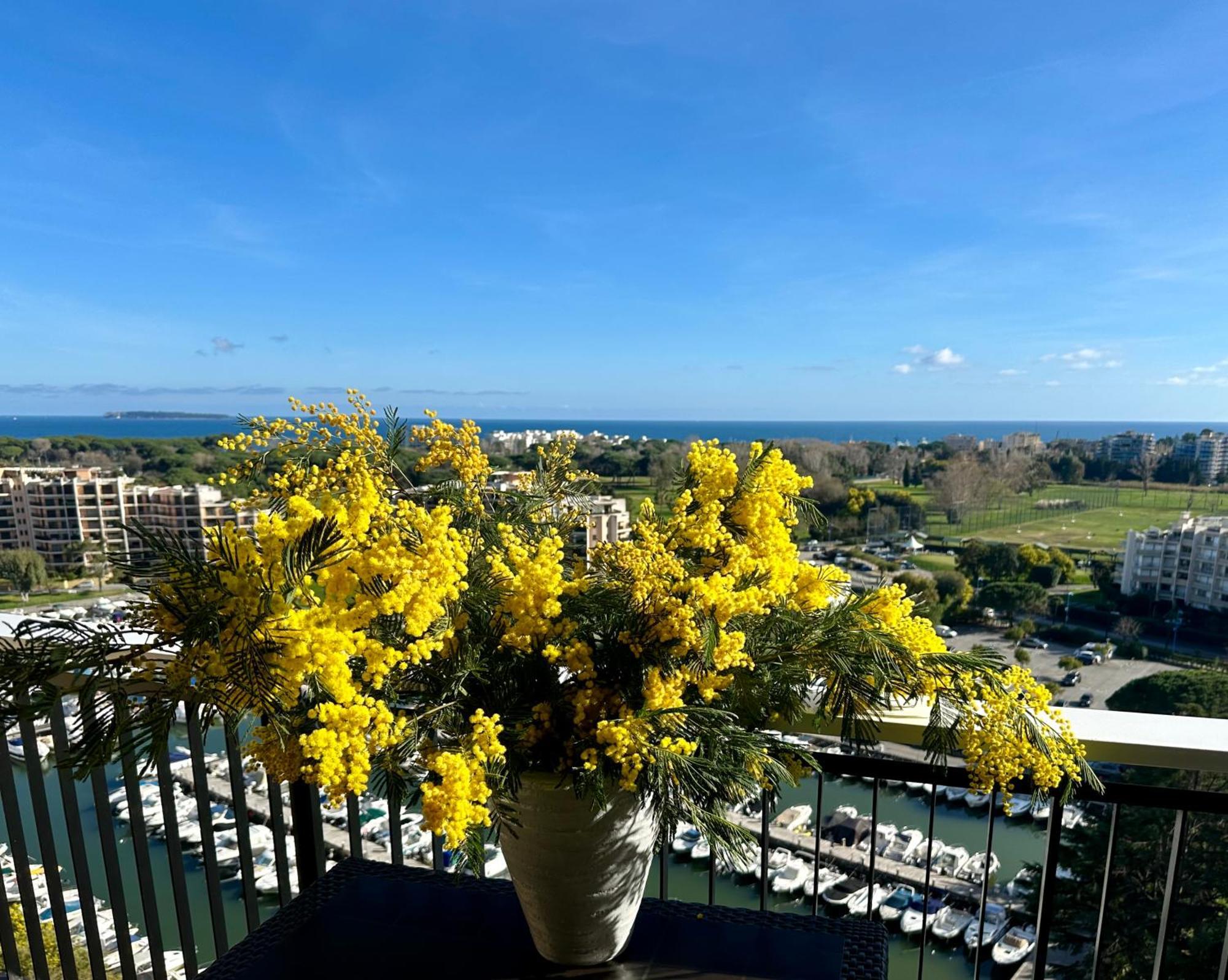 Cannes Marina Appart Hotel Mandelieu 외부 사진